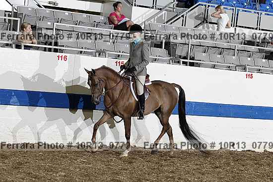 Proof Number 10r13_0779
