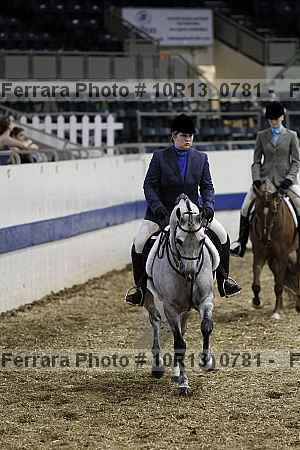Proof Number 10r13_0781