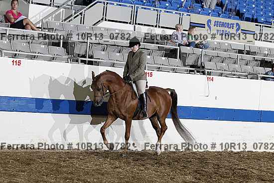 Proof Number 10r13_0782