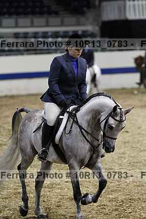 Proof Number 10r13_0783