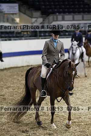 Proof Number 10r13_0785
