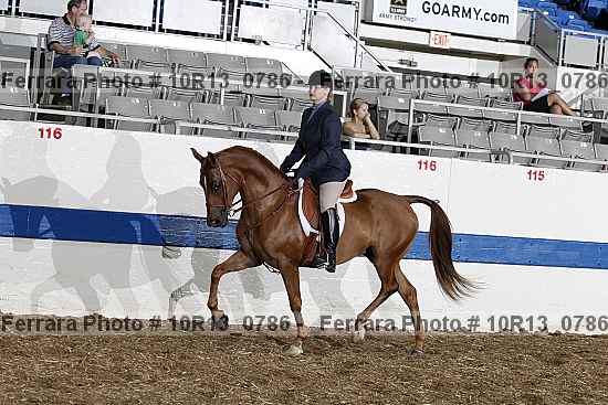 Proof Number 10r13_0786