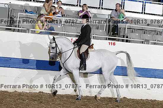 Proof Number 10r13_0787