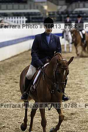 Proof Number 10r13_0788