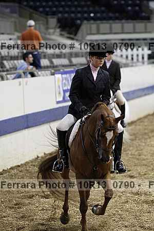 Proof Number 10r13_0790