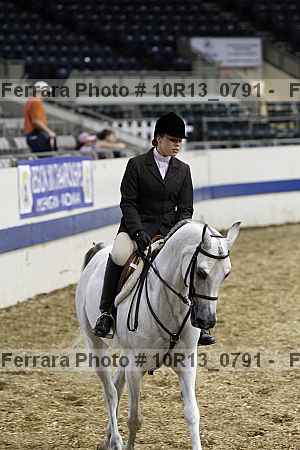 Proof Number 10r13_0791