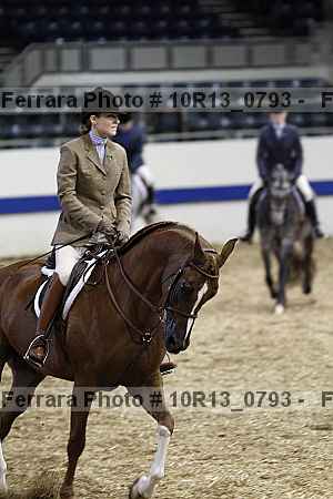 Proof Number 10r13_0793