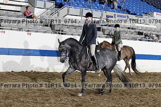 Proof Number 10r13_0794