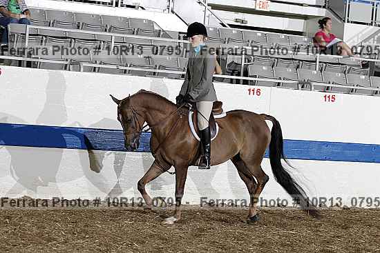 Proof Number 10r13_0795