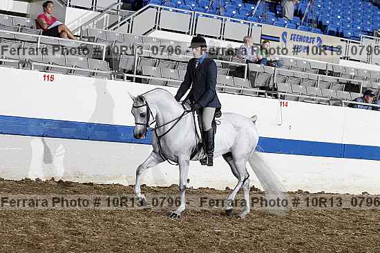 Proof Number 10r13_0796