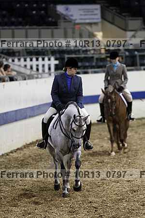 Proof Number 10r13_0797