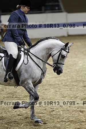 Proof Number 10r13_0798