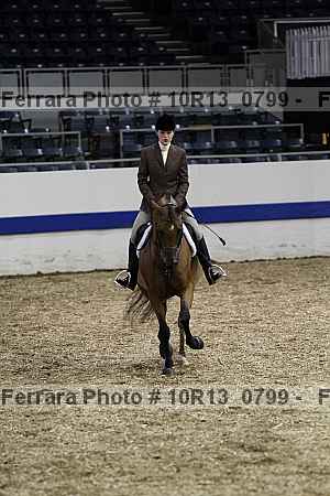 Proof Number 10r13_0799