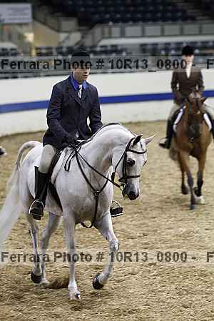 Proof Number 10r13_0800