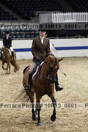 Proof Number 10r13_0801