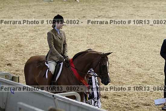 Proof Number 10r13_0802