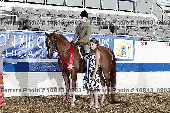 Proof Number 10r13_0803