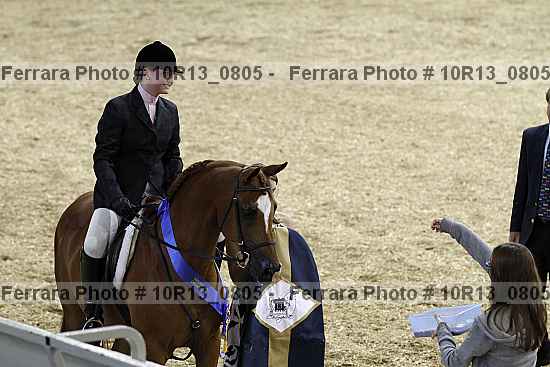Proof Number 10r13_0805