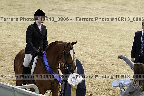 Proof Number 10r13_0806