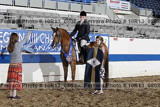 Proof Number 10r13_0808