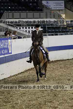 Proof Number 10r13_0810