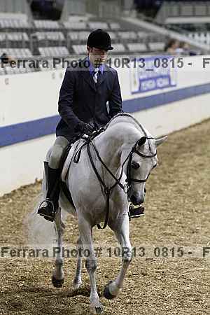 Proof Number 10r13_0815