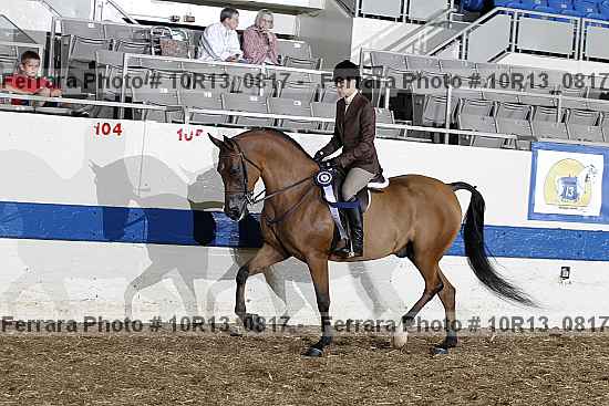 Proof Number 10r13_0817