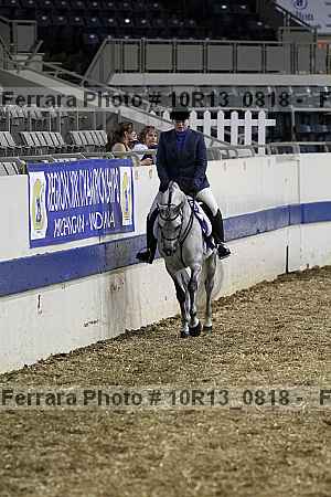 Proof Number 10r13_0818