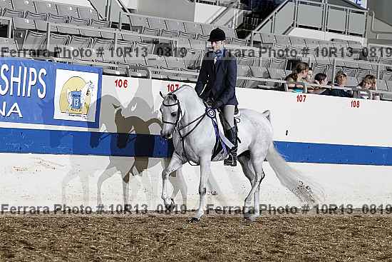 Proof Number 10r13_0819