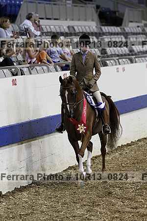 Proof Number 10r13_0824