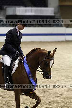 Proof Number 10r13_0826