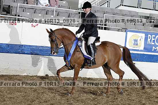 Proof Number 10r13_0828