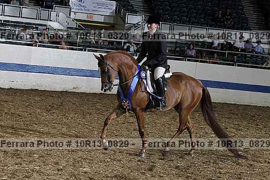 Proof Number 10r13_0829