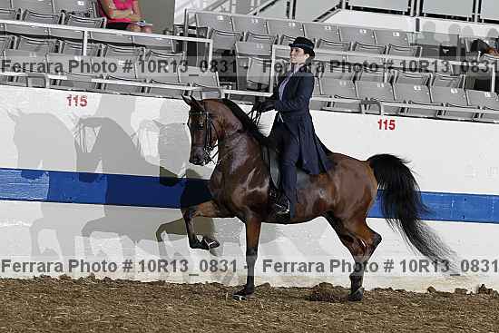 Proof Number 10r13_0831