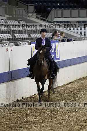 Proof Number 10r13_0833