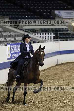 Proof Number 10r13_0834