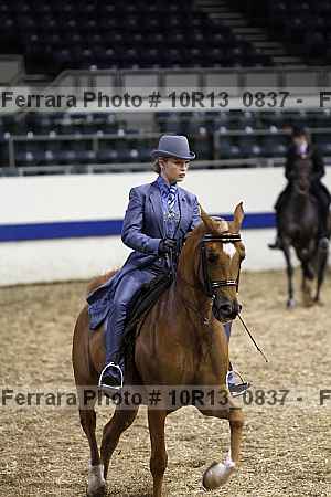 Proof Number 10r13_0837
