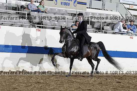 Proof Number 10r13_0838