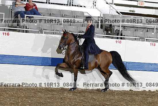 Proof Number 10r13_0849