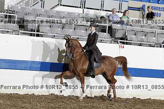 Proof Number 10r13_0855