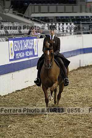 Proof Number 10r13_0856