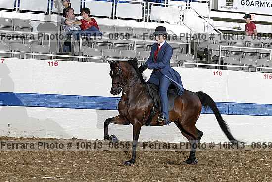 Proof Number 10r13_0859