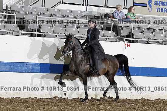 Proof Number 10r13_0861
