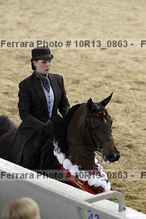 Proof Number 10r13_0863
