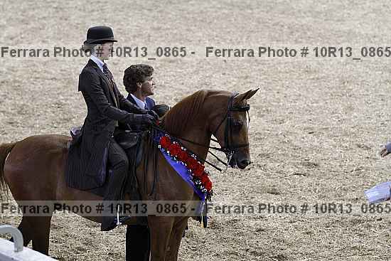 Proof Number 10r13_0865