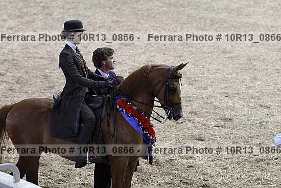 Proof Number 10r13_0866