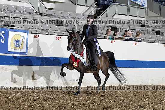 Proof Number 10r13_0876