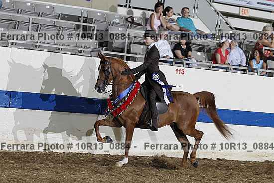 Proof Number 10r13_0884