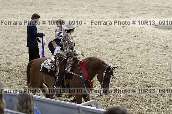 Proof Number 10r13_0910