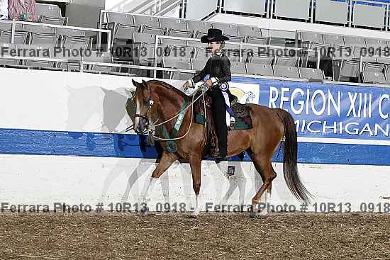 Proof Number 10r13_0918